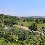 17669a Daire Solin